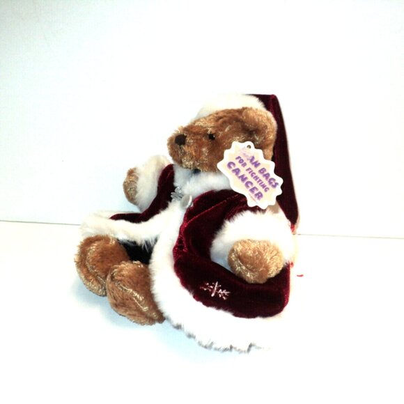 Christmas Bear Plush by Plushland Bean Bags for Fighting Cancer Holiday Vtg 8" L - Picture 2 of 7